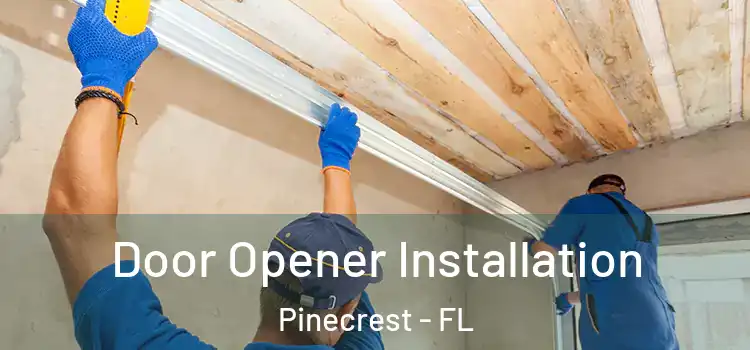  Door Opener Installation Pinecrest - FL