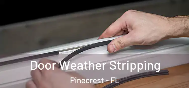 Door Weather Stripping Pinecrest - FL
