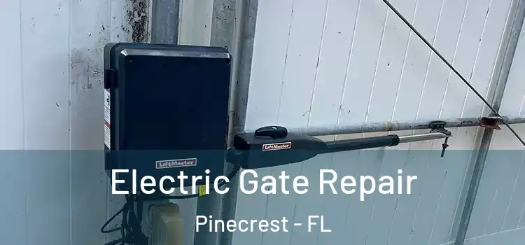 Electric Gate Repair Pinecrest - FL