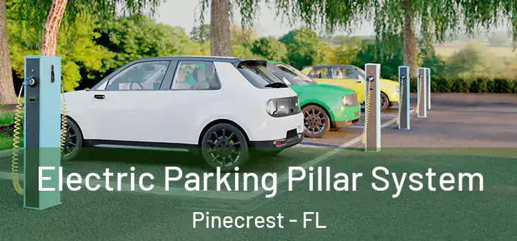 Electric Parking Pillar System Pinecrest - FL