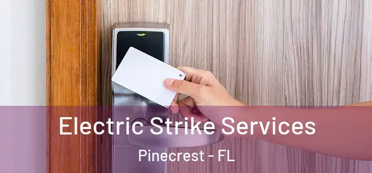  Electric Strike Services Pinecrest - FL