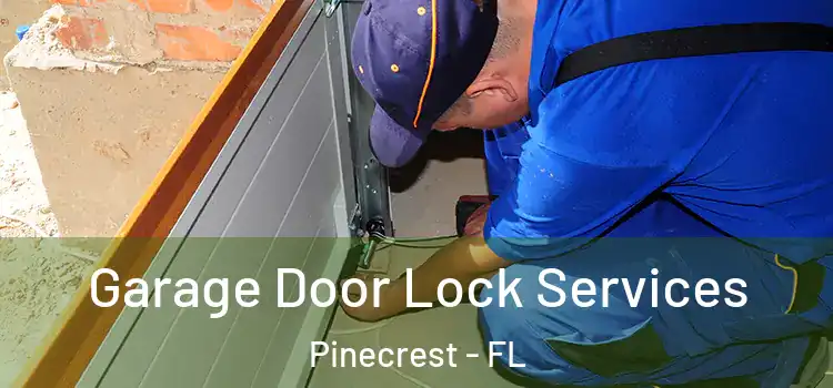 Garage Door Lock Services Pinecrest - FL