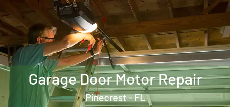  Garage Door Motor Repair Pinecrest - FL