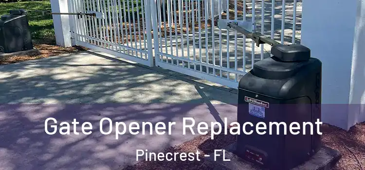  Gate Opener Replacement Pinecrest - FL
