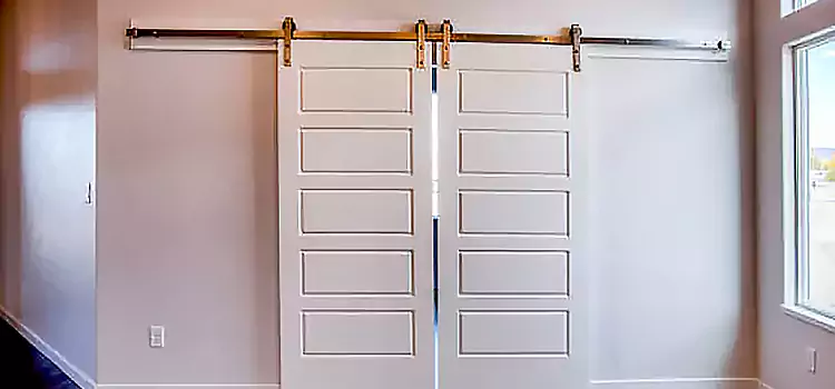 Glass Barn Door with Installation Hardware Kit Pinecrest