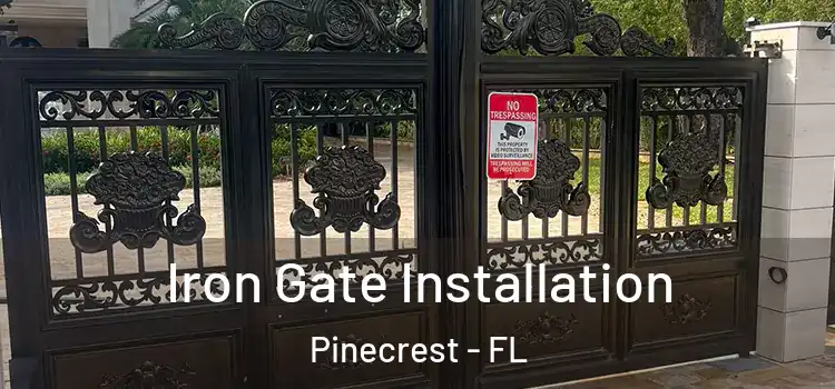 Iron Gate Installation Pinecrest - FL