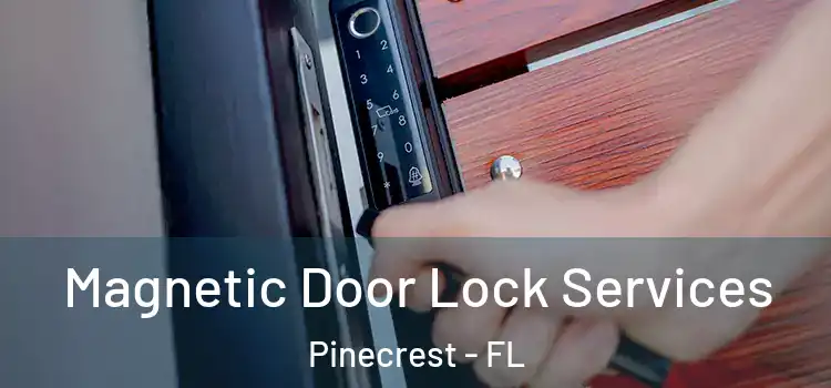 Magnetic Door Lock Services Pinecrest - FL