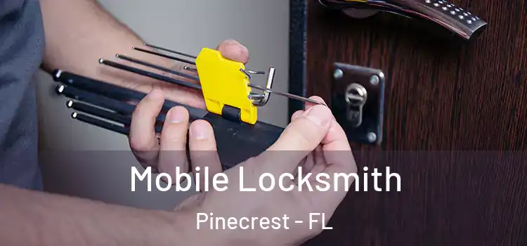  Mobile Locksmith Pinecrest - FL
