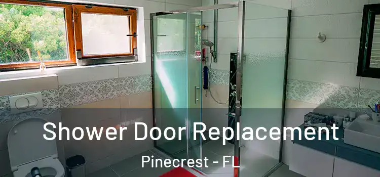  Shower Door Replacement Pinecrest - FL